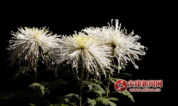 10京`ŵľջ鿶bȻһʒɪͼȡζɢl(f).jpg